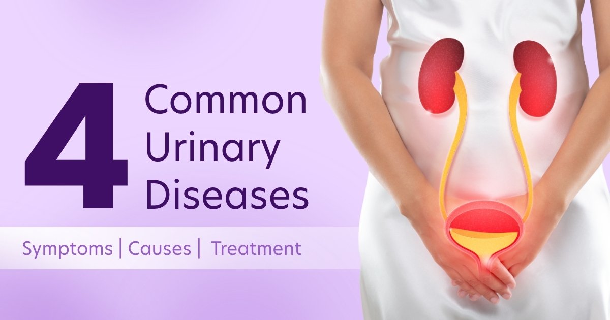 4 Common Urinary Diseases: Symptoms, Causes, and Treatment